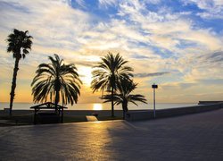 Palmy, Promenada, Wschód słońca, Morze Śródziemne, Malaga, Hiszpania