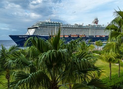 Statek wycieczkowy Mein Schiff 5, Palmy