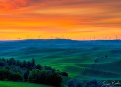Wzgórza, Wiatraki, Drzewa, Łąki, Pola, Zachód słońca, Region Palouse, Stan Waszyngton, Stany Zjednoczone