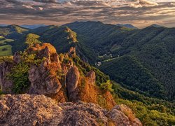 Góry Strażowskie, Karpaty Zachodnie, Skały, Drzewa, Słowacja