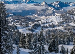 Góry, Chmury, Zima, Drzewa, Świerki, Wzgórza, Dolina, Jezioro, Hoch-Ybrig, Kanton Schwyz, Szwajcaria