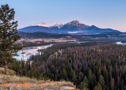 Góry Skaliste, Drzewa, Rzeka, Park Narodowy Jasper, Domy, Alberta, Kanada