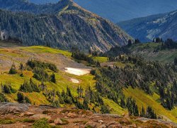 Stany Zjednoczone, Stan Waszyngton, Park Narodowy Mount Rainier, Góry, Lasy, Drzewa, Skały, Roślinność