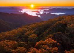 Australia, Queensland, Park Narodowy New England, Góry, Lasy, Jesień, Promienie słońca, Mgła, Drzewa