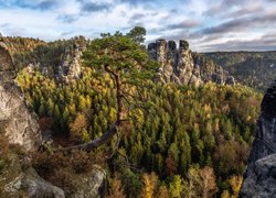 Panorama Parku Narodowego Saskiej Szwajcarii