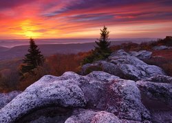 Stany Zjednoczone, Wirginia Zachodnia, Odbszar Dolly Sods Wilderness, Rezerwat przyrody Bear Rocks, Góry, Skały, Drzewa, Zachód słońca