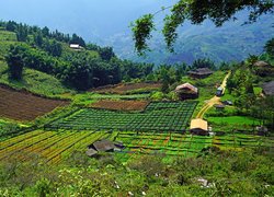 Wzgórza, Pola, Domy, Dolina Muong Hoa Valley, Sapa, Wietnam