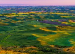 Panorama zielonych wzgórz Palouse