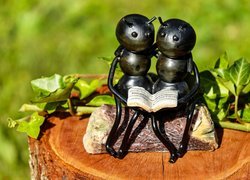 Para mrówek z książką na pniu