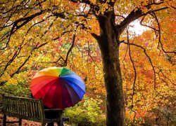 Para z kolorowym parasolem siedząca na ławce pod jesiennym drzewem