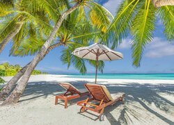 Parasol i leżaki na plaży pod palmami