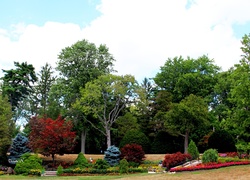 Park i kolorowe drzewa