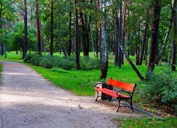 Polska, Gdańsk, Park Brzeźnieński im.J.J.Haffnera, Alejka, Ławka, Drzewa, Zieleń