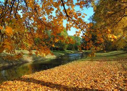 Park jesienią w czeskim mieście Kostelec nad Orlici