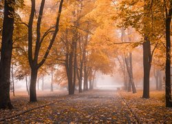 Park jesienną porą