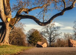 Park Killesberg w Stuttgarcie