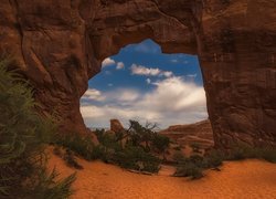 Skały, Rośliny, Park Narodowy Arches, Stan Utah, Stany Zjednoczone