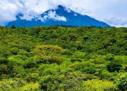 Park Narodowy Aruszy w Tanzanii