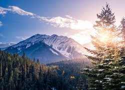 Kanada, Prowincja Alberta, Park Narodowy Banff, Góry Skaliste, Las, Drzewa, Wschód słońca