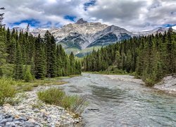 Park Narodowy Banff, Góra Mount Rundle, Prowincja Alberta, Kanada, Góry, Rzeka, Kamienie, Las, Drzewa, Chmury