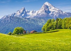 Park Narodowy Berchtesgaden, Góry Alpy, Bawaria, Niemcy, Las, Drzewa, Dom