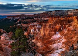 Skały, Drzewo, Sosna, Kolorowe, Niebo, Kanion, Park Narodowy Bryce Canyon, Stany Zjednoczone