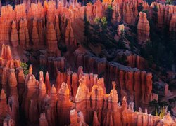 Kanion, Skały, Park Narodowy Bryce Canyon, Utah, Stany Zjednoczone