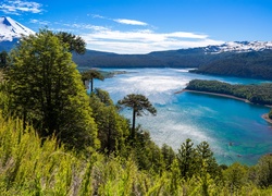 Jezioro, Drzewa, Góry, Chile