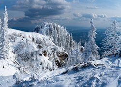 Ośnieżone, Góry, Skały, Ośnieżone, Drzewa, Park Narodowy Cozia, Rumunia