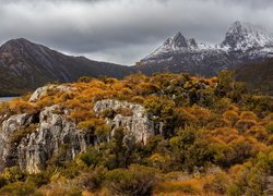 Park Narodowy Cradle Mountain Lake St Clair w Tasmanii