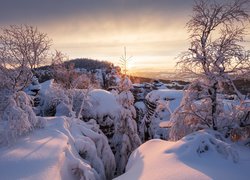 Park Narodowy Czeska Szwajcaria w zimowej szacie