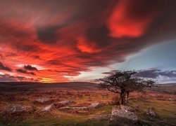 Park Narodowy Dartmoor o zachodzie słońca