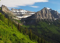 Góry Skaliste, Lasy, Park Narodowy Glacier, Montana, Stany Zjednoczone