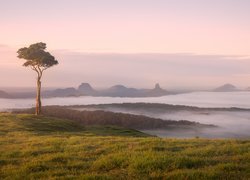 Park Narodowy Glass House Mountains w Australii