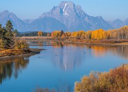 Park Narodowy Grand Teton, Rzeka, Snake River, Góry, Teton Range, Drzewa, Jesień, Stan Wyoming, Stany Zjednoczone