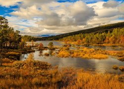 Park Narodowy Hardangervidda w Norwegii