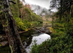 Park Narodowy Huerquehue w Chile