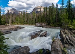 Park Narodowy Jasper, Las, Drzewa, Góry, Rzeka, Sunwapta River, Kamienie, Wodospad, Sunwapta Falls, Skały, Alberta, Kanada
