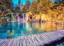 Wodospad, Drzewa, Pomost, Jezioro, Park Narodowy Jezior Plitwickich, Chorwacja