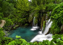 Park Narodowy Jezior Plitwickich, Chorwacja, Wodospad, Roślinność, Mostek