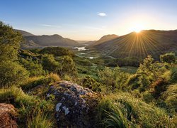 Irlandia, Park Narodowy Killarney, Hrabstwo Kerry, Promienie słońca, Góry, Drzewo, Trawa, Skały