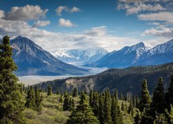 Kanada, Jukon, Park Narodowy Kluane, Góry, Masyw, Szczyt, Mount Logan, Lasy, Drzewa