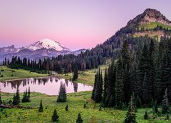 Stany Zjednoczone, Stan Waszyngton, Park Narodowy Mount Rainier, Stratowulkan Mount Rainier, Łąka, Trawa, Staw, Drzewa, Świerki, Góry