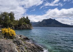 Argentyna, Jezioro, Nahuel Huapi Lake, Park Narodowy Nahuel Huapi, Góry Andy, Skały, Drzewa, Kwiaty, Chmury