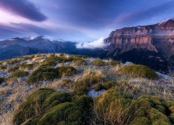 Park Narodowy Ordesa y Monte Perdido, Góry Pireneje, Kanion de Anisclo, Hiszpania, Kępki, Trawa