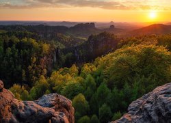 Niemcy, Park Narodowy Saskiej Szwajcarii, Góry Połabskie, Skały, Drzewa, Wschód słońca