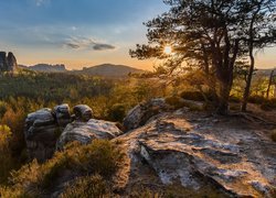 Góry Połabskie, Skały, Drzewa, Park Narodowy Saskiej Szwajcarii, Niemcy