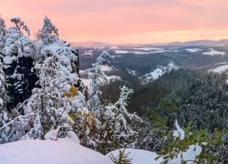 Zima, Śnieg, Skały, Drzewa, Park Narodowy Saskiej Szwajcarii, Niemcy