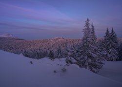 Wzgórza, Góry, Skały, Drzewa, Zima, Zmierzch, Park Narodowy Taganaj, Obwód czelabiński, Rosja