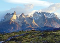 Chile, Patagonia, Park Narodowy Torres del Paine, Góry Cordillera del Paine, Roślinność, Drewniane, Stopnie